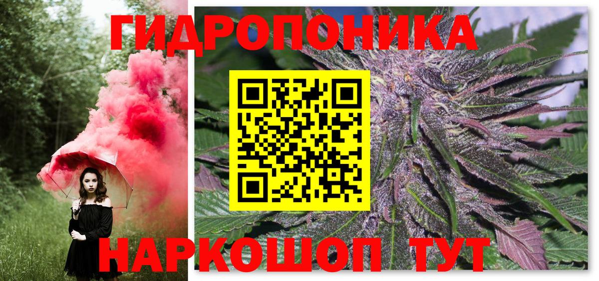 Новый Уренгой  Шишки марихуана план  Конопля тримм  Вход с VPN  Каннабис White Widow 